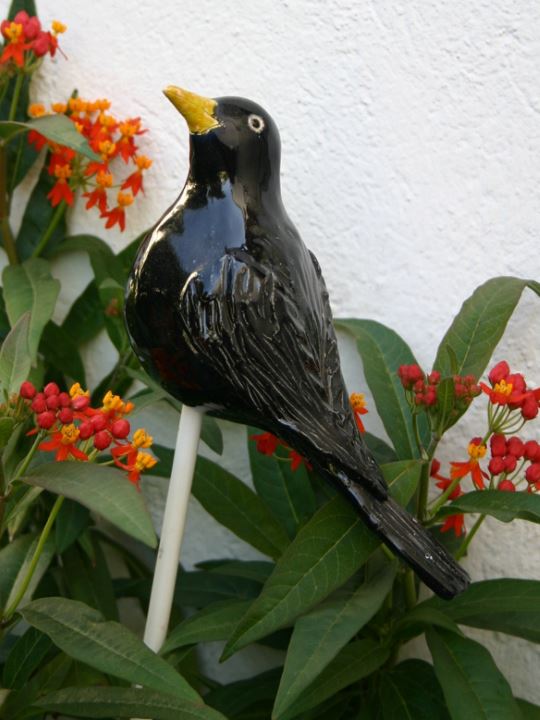 Schwarzer Vogel mit gelben Schnabel